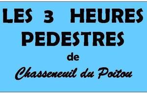 3H de Chasseneuil (relais par équipe de 3 ou en individuel)